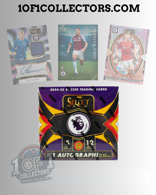 2024-25 panini select PL international