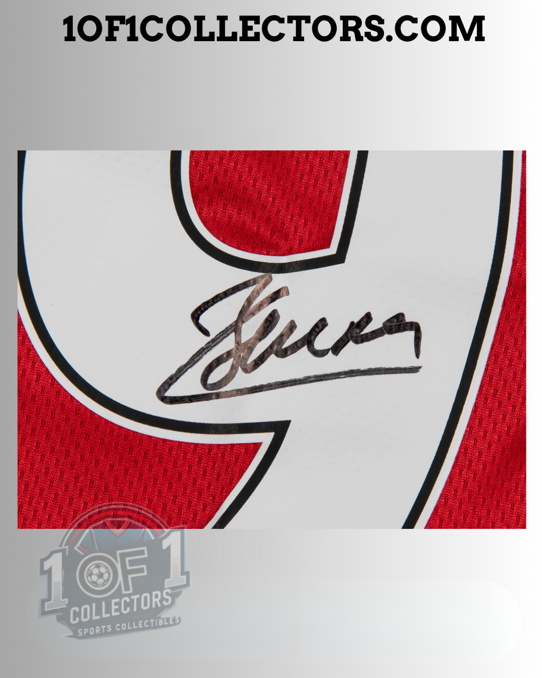 Autographe_Berbatov_Manchester_United_Jersey